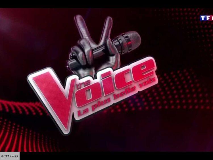"Douze ans, c’est déjà une sacrée performance" : la saison 14 de The Voice est-elle menacée ?