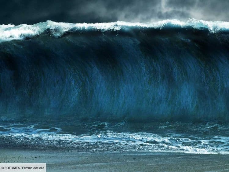 Il plonge depuis 13 ans pour retrouver sa femme disparue dans un tsunami