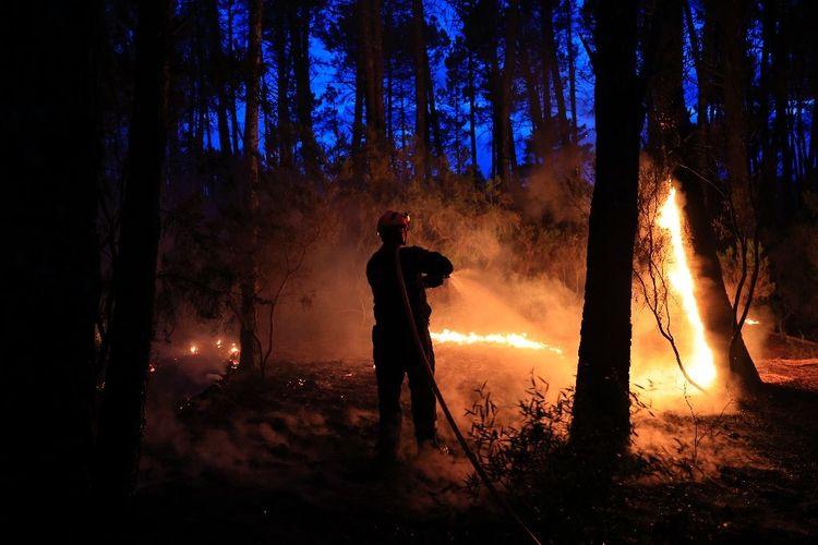 Premier gros incendie de l'année dans le sud de la France: 600 hectares brûlés