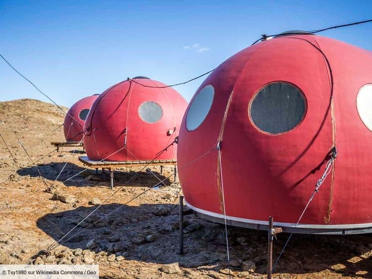 L'ADN révèle une biodiversité totalement inattendue dans les "oasis antarctiques", fruit de la coopération entre espèces