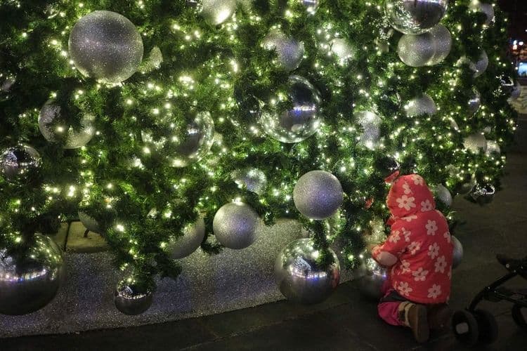 Manger son sapin de Noël ? Les autorités belges recadrent la ville de Gand