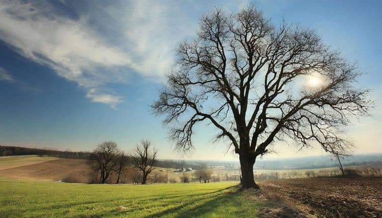 Météo : quelle est la tendance pour mars en France ?