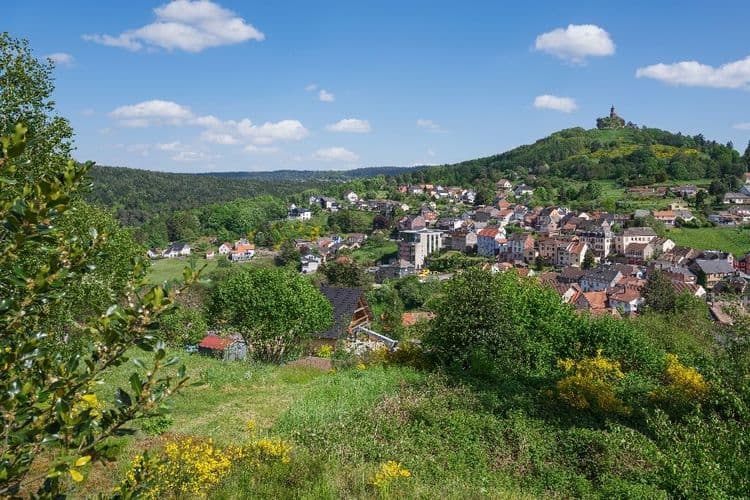A Dabo, les fans du jeu sur les traces de la Chouette d'or
