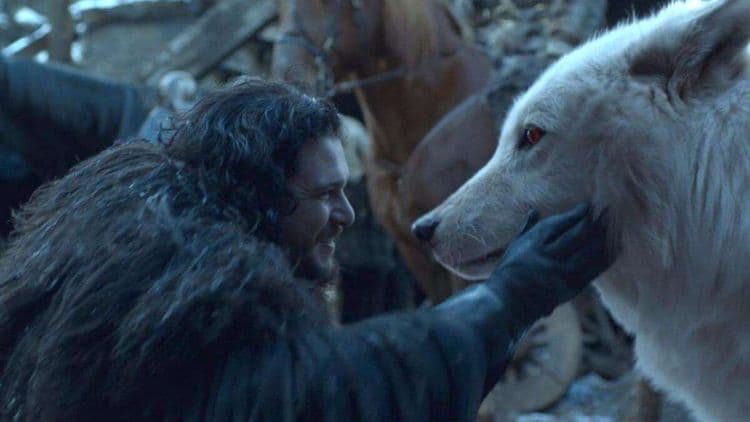 Ce que la série Game of Thrones n’a jamais montré