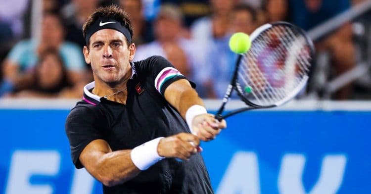 Le "cauchemar sans fin" de Del Potro
