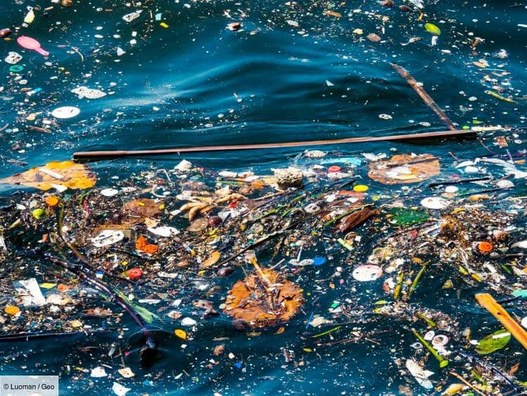 La France favorable à un "parquet vert européen" pour lutter contre la criminalité environnementale