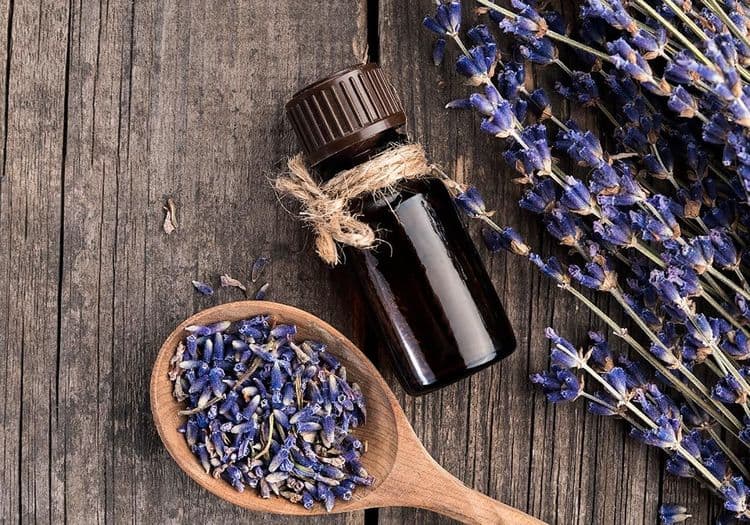 3 astuces écolos pour neutraliser les mauvaises odeurs