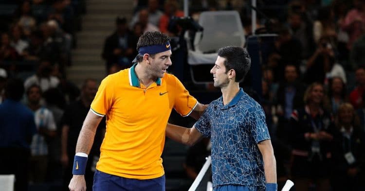 Djokovic et Del Potro vont s'affronter