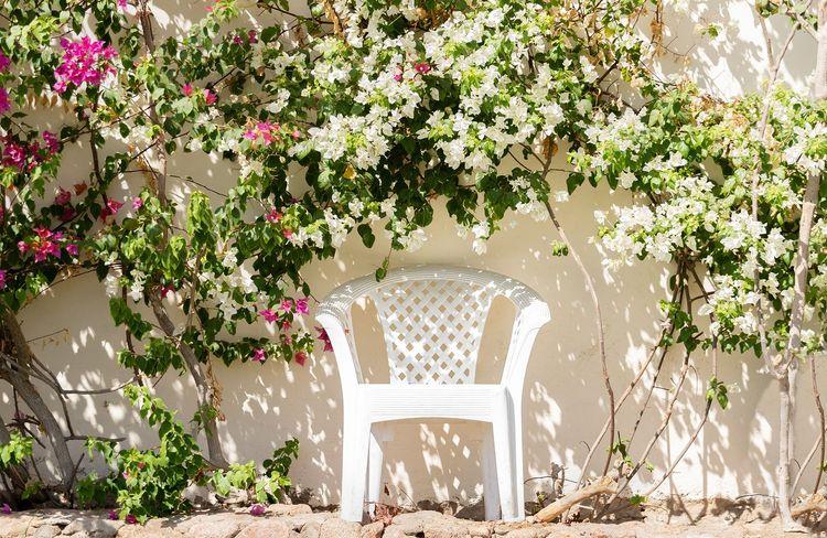 Cette chaise de jardin que l'on a tous est pourtant une icône du design