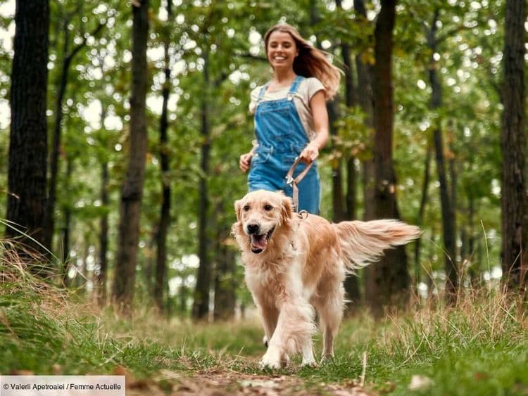 Voici comment maximiser l'effet brûle-graisses des promenades avec votre chien