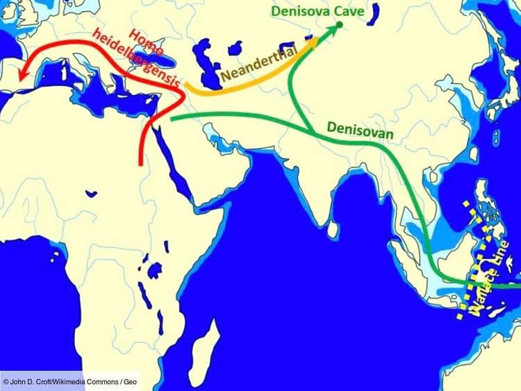 Il y a 50 000 ans, Homo sapiens s’est hybridé avec d’autres espèces humaines