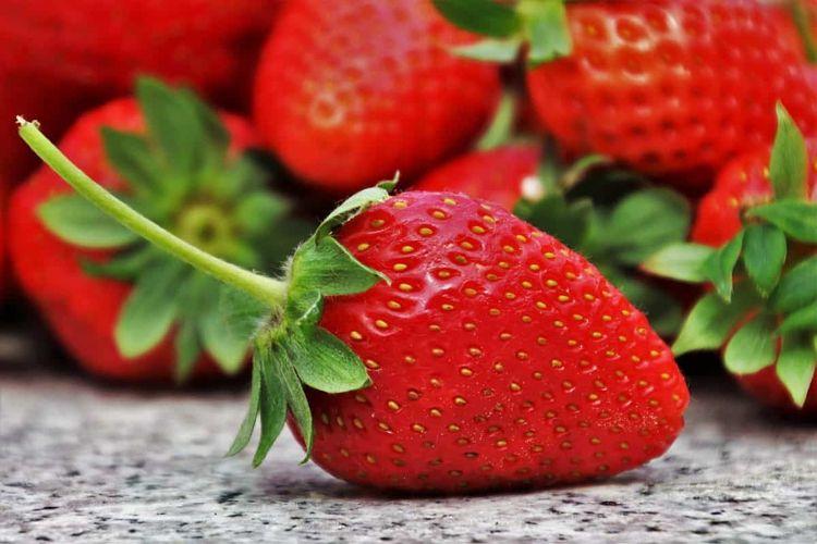 La consommation de fraises est excellente et permet de réduire le risque de maladie cardiovasculaire (étude)
