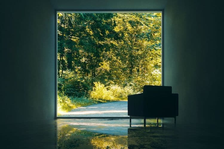 6 astuces pour éviter que les arbres verdoyants n’assombrissent notre intérieur
