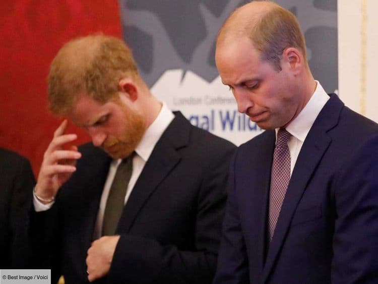 William et Harry en deuil : le garde du corps de leur enfance s'est éteint à l'âge de 63 ans