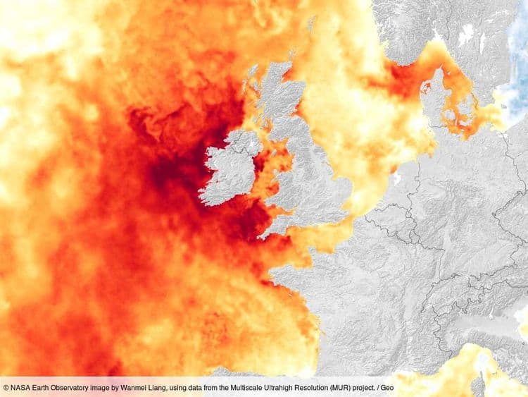 L'Œil de GEO: une sévère canicule marine embrase les eaux bordant l'Europe du Nord