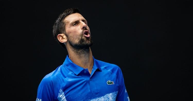 Djokovic et Alcaraz sans surprise