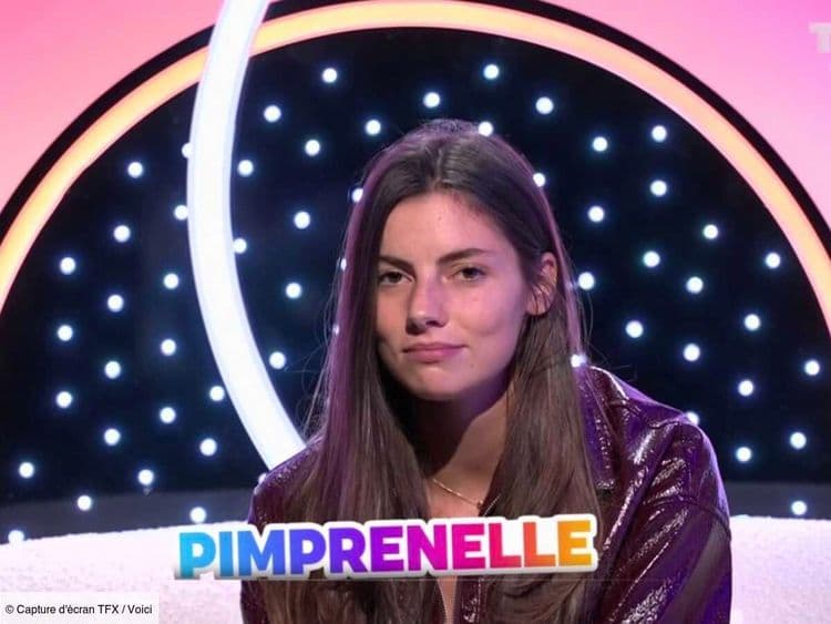 Secret Story : Pimprenelle trouve le secret d'Ethan, les internautes sont bluffés