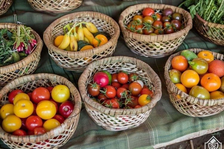 Un médecin rappelle la méthode pour éliminer les pesticides des fruits