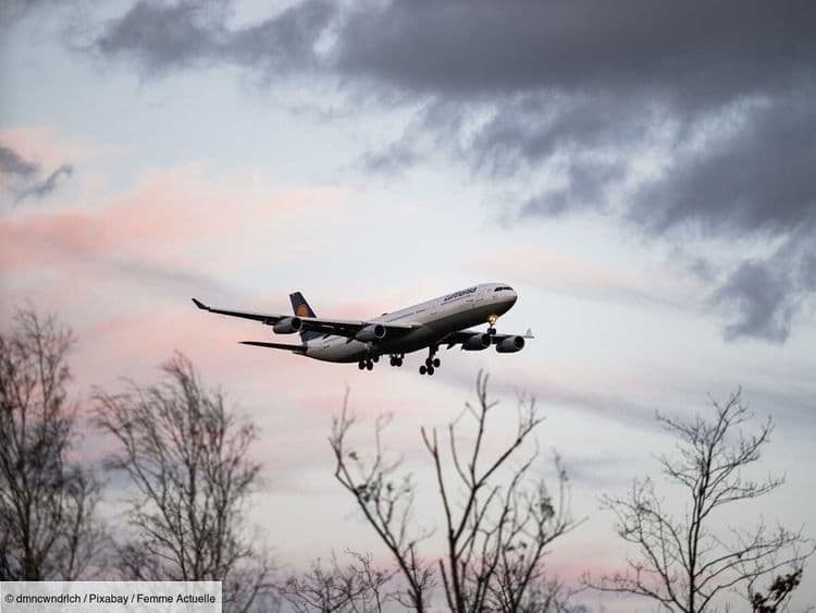 Disparition du vol MH370 : ces "pings" ont permis de faire une découverte fondamentale