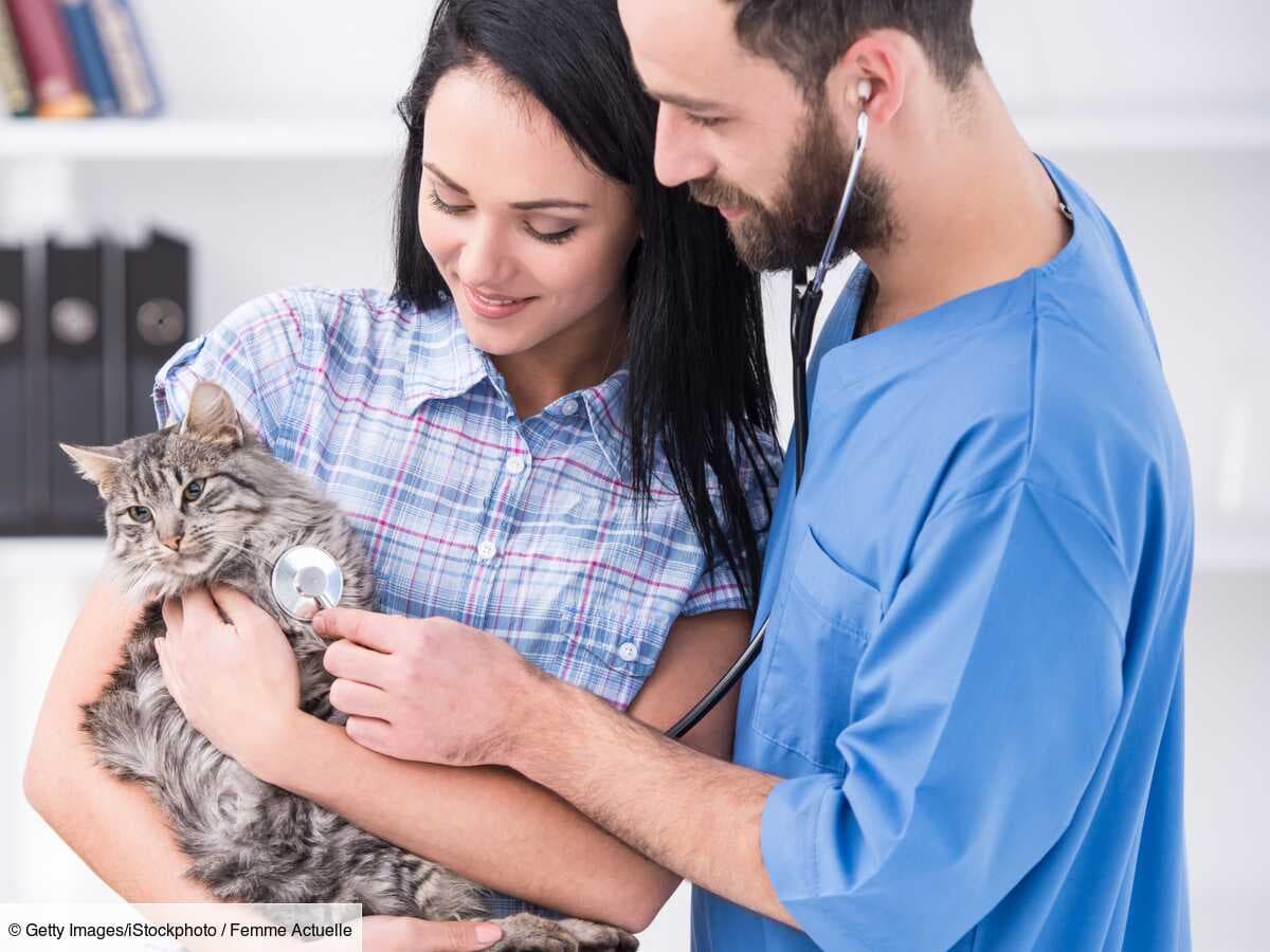 Animal de compagnie : quels sont mes devoirs ?