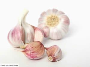 L’ail rose de Lautrec : comment le cuisiner ?