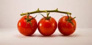 Pourquoi les fruits et légumes n’ont-ils plus le même goût qu’autrefois?