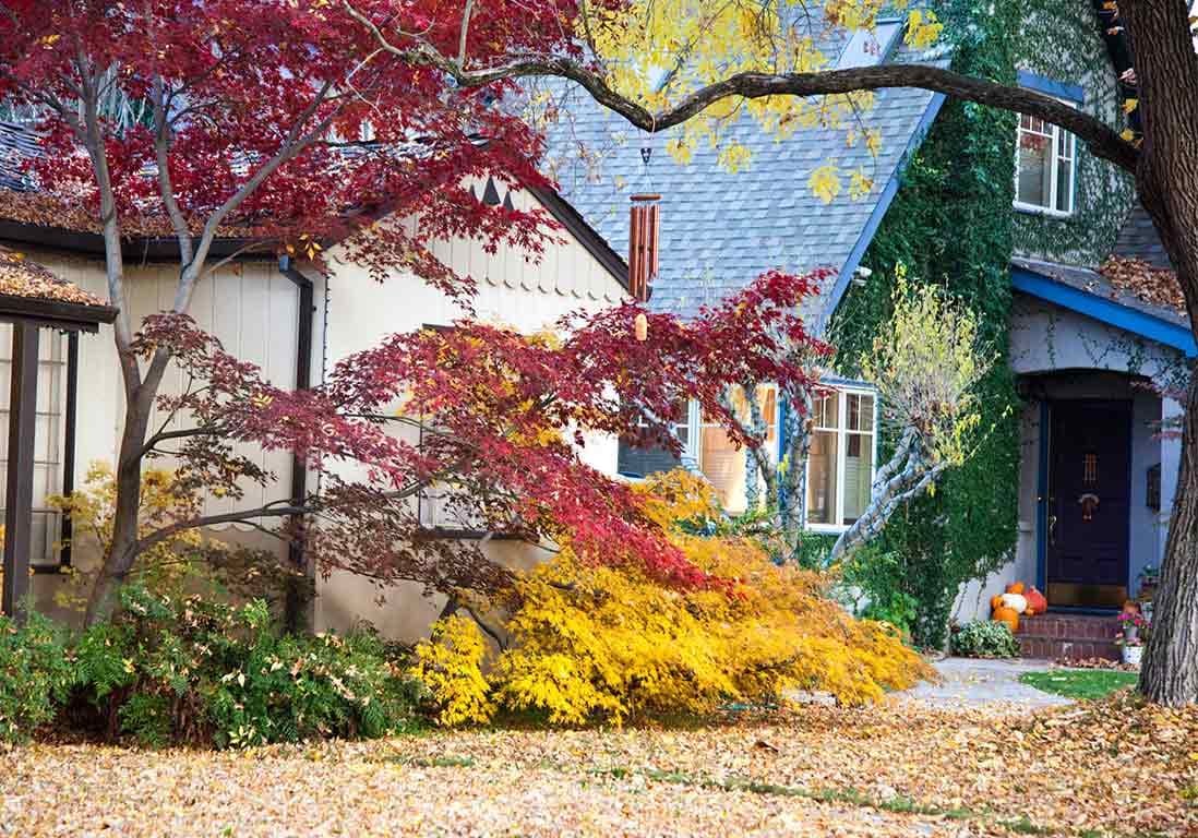 Jardin d’ornement, que faire en automne ?