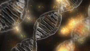 Le Royaume-Uni autorise la première thérapie génique pour traiter la drépanocytose