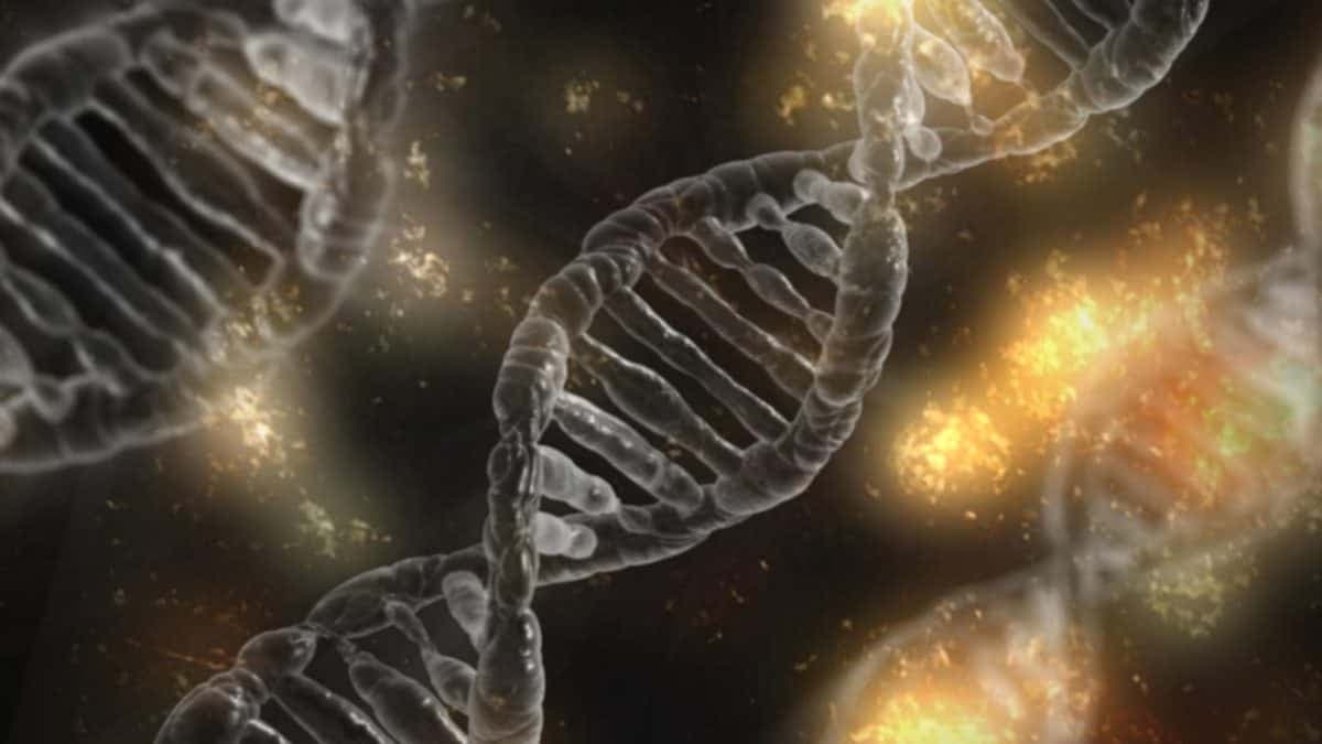 Le Royaume-Uni autorise la première thérapie génique pour traiter la drépanocytose