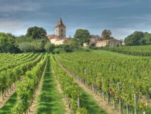 La production mondiale de vin est en baisse dans pratiquement tous les pays