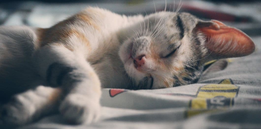 Voici pourquoi il vaut mieux dormir sur le côté gauche