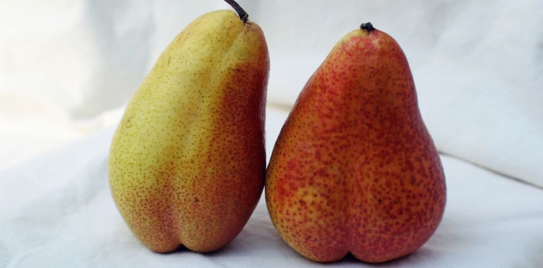 Pourquoi a-t-on des poils entre les fesses?