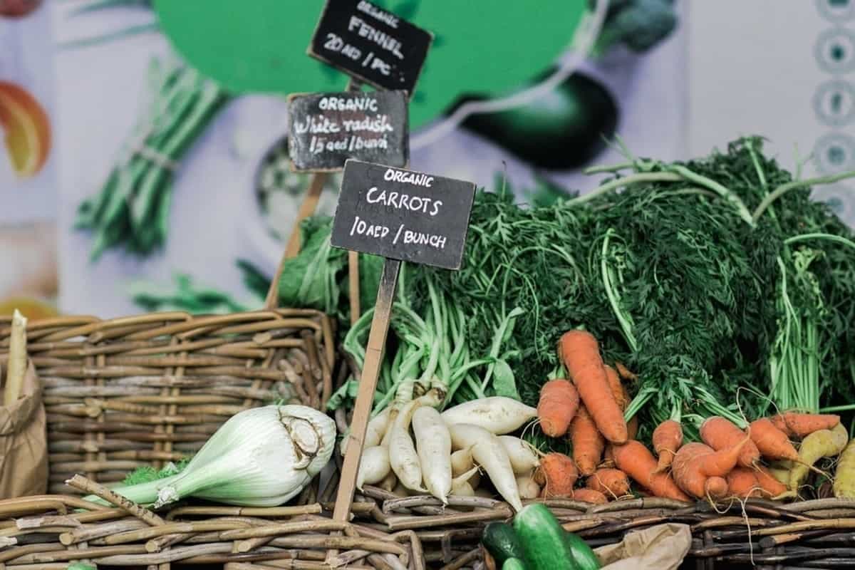 Crise des agriculteurs certifiés bio : le gouvernement annonce une rallonge de 34 millions d’euros