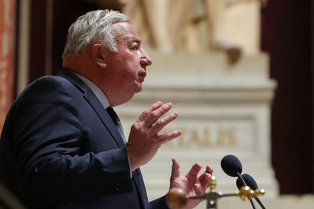 Larcher opposé à l’inscription de l’IVG dans la Constitution