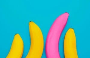 Le clitoris masculin existe-t-il vraiment ?