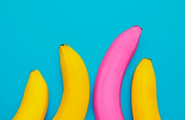 Le clitoris masculin existe-t-il vraiment ?
