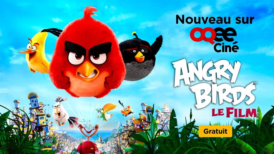 Angry Birds, le film : la dernière pépite à découvrir sur OQEE Ciné