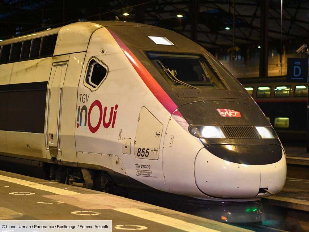 Kevin Speed : qui est ce concurrent de la SNCF qui veut proposer des billets de TGV à partir de 3 euros ?