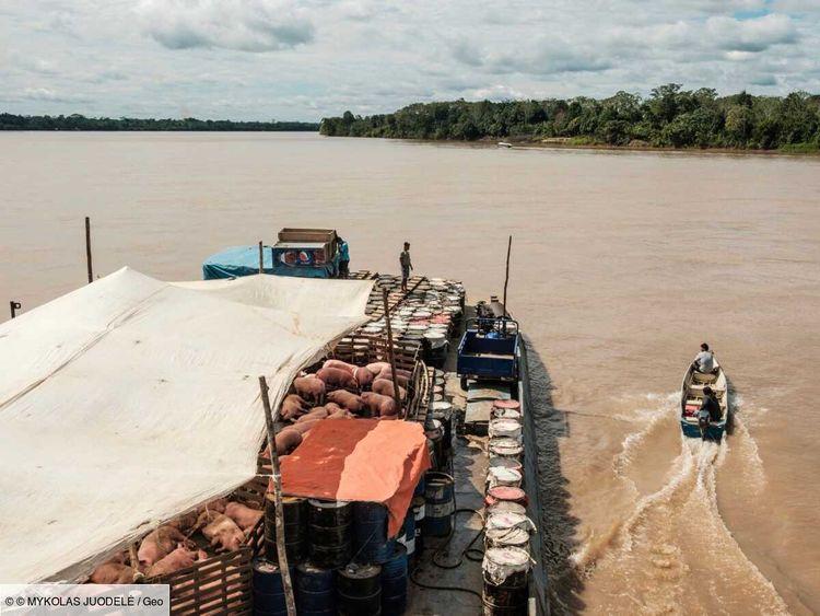 Mon odyssée en cargo le long de l'Amazonie péruvienne, direction Iquitos