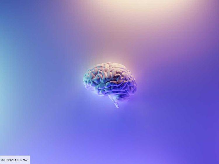 L'ablation du cerveau, l'avenir de la cryonie et une voie vers l'immortalité ?