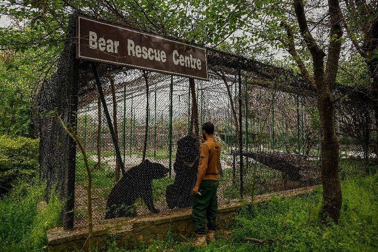 A Islamabad, l'ancien zoo désormais au service des animaux maltraités