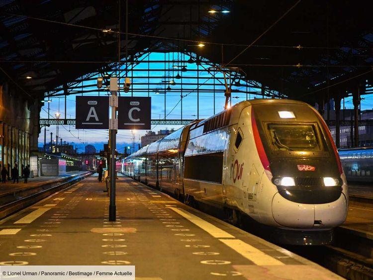 “La SNCF m’a abandonnée dans le train !” Une passagère en fauteuil roulant raconte sa mésaventure
