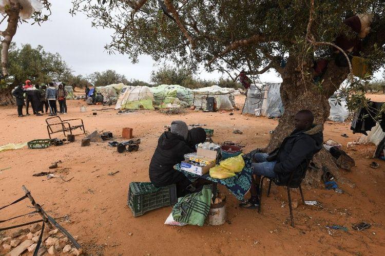 En Tunisie, des migrants survivent dans des champs d'oliviers en lorgnant l'Europe