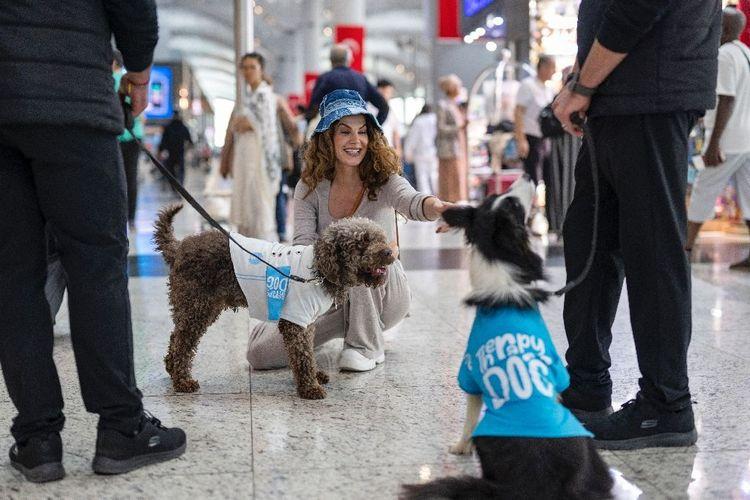Turquie: des chiens pour détendre les passagers à l'aéroport d'Istanbul