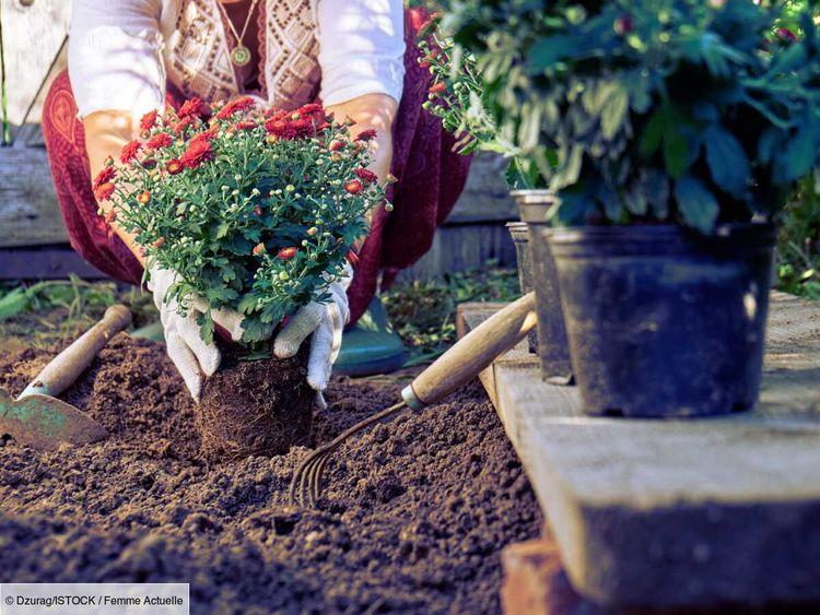 Que semer ou planter avant et après les Saints de Glace au jardin ?