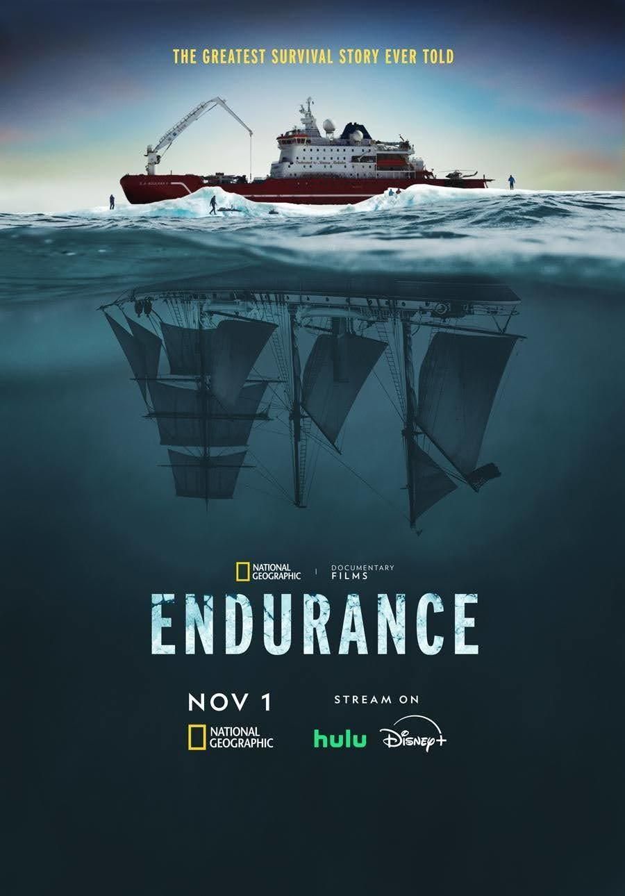 endurance_cover_f1c2b981.jpeg