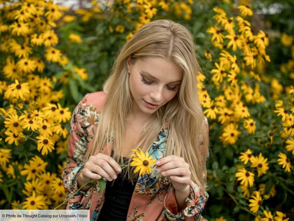 Bull's Favorite Flower - News Directory 3