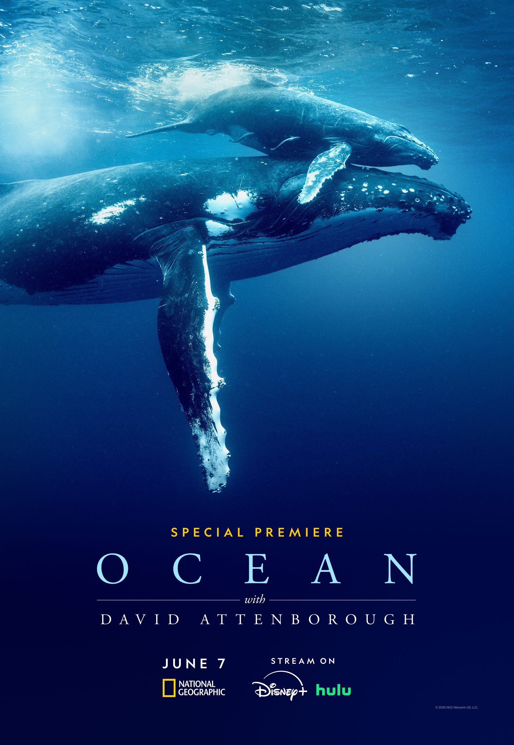 ocean-with-david-attenborough-01-scaled.jpeg